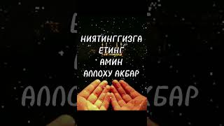 Амин Аллоху Акбар