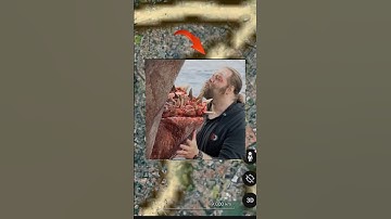 😶‍🌫️I found very strange Shark 🦈 on Google map and Google Earth #shortsfeed #shark #shorts #upbro76