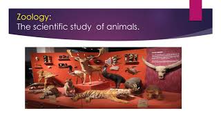 Grade 6 Unit 3 lesson 1 vocabulary powerPoint Video