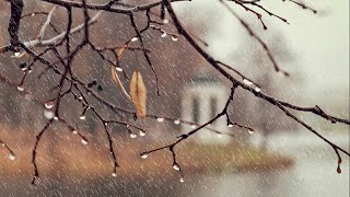 LIVE RADAR: Atmospheric river sweeps into western Washington