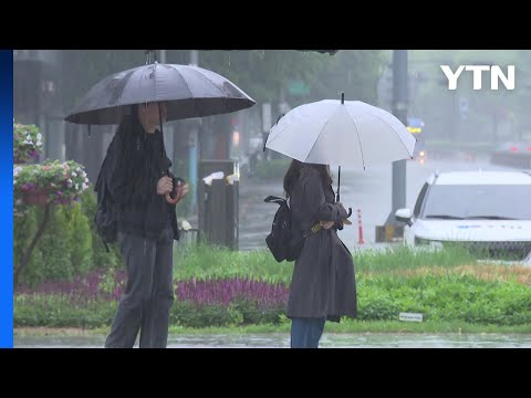 [날씨] 절기 '입하', 비 오후 늦게 그쳐...해안 강풍 / YTN
