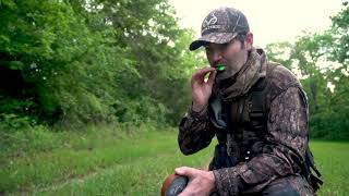 Soft Call for Turkeys on a Limb | How, Why and Best Call screenshot 4
