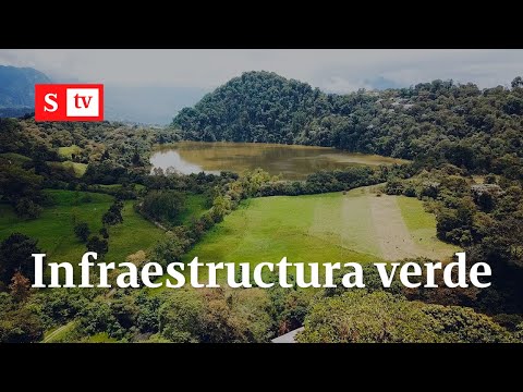 Infraestructura verde, clave para recuperar el río Bogotá | Semana Tk