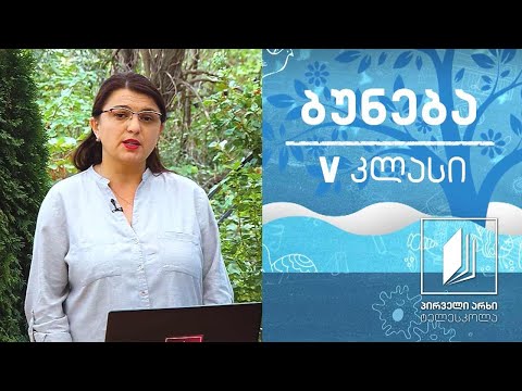 ბუნება, V კლასი - ვარსკვლავები და თანავარსკვლავედი #ტელესკოლა