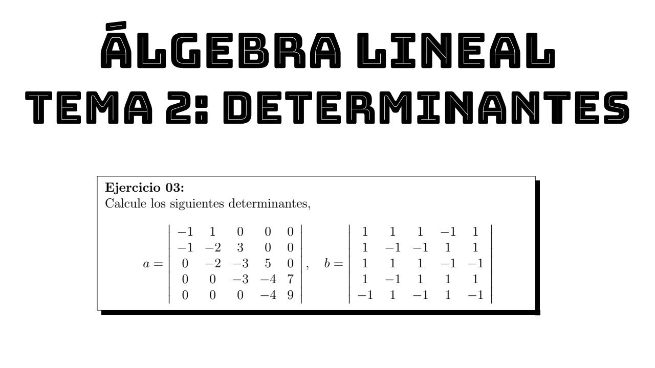 ejercicio 03 calculo de determinantes algebra lineal tema 2 determinantes matrices multiplication