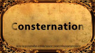Use Consternation in a Sentence