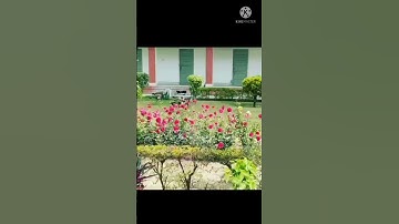 world dream 💜 #BHU ❤️ BHU entrance exam||motivational video 🔥#short