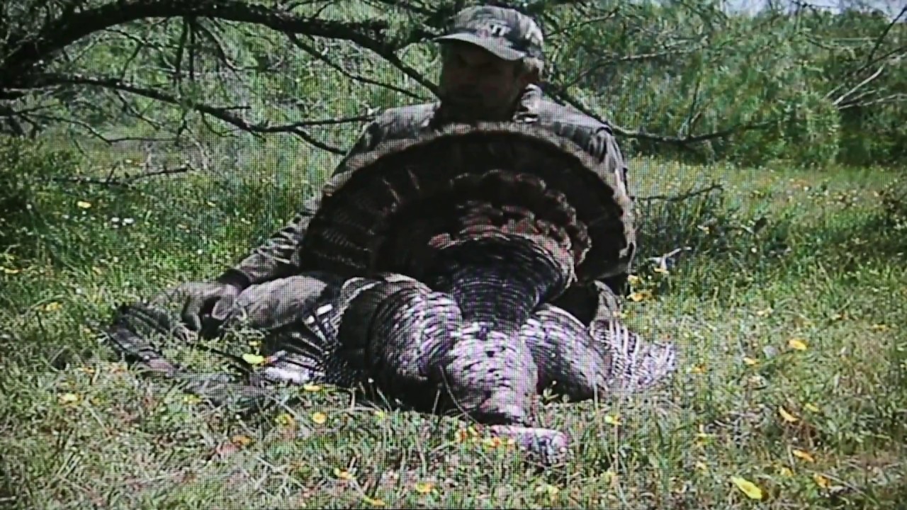 Turkey Call TV Season 1; Episode 4 YouTube