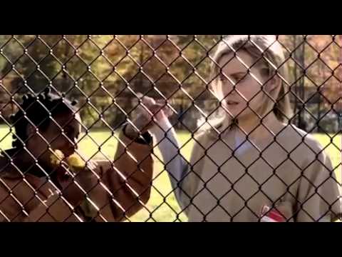 Orange is the new black - Bande annonce