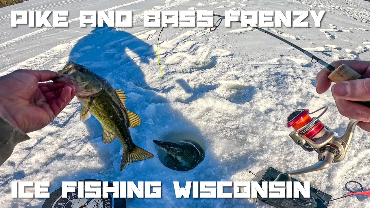 Ice Fishing for Pike and Bass in Northern Wisconsin with Finicky Foolers (1-31-2026)