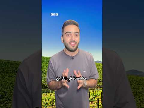 قصة خلفية Windows XP: حقيقة الصورة الشهيرة.