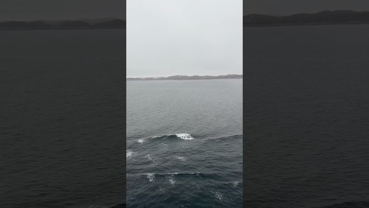 Sailing into Bergen, Norway | Cruise Ship Balcony View #shorts