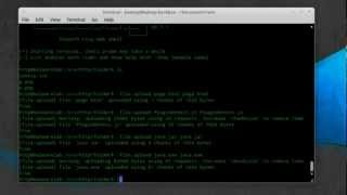 Famous Hacking Windows 8 (HD VIDEO) Wealth