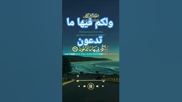 قرأن كريم تلاوة خاشعة قرأن كريم تخشع له القلوب #قرآن #قران_كريم #elmulquranعلم #المصحف