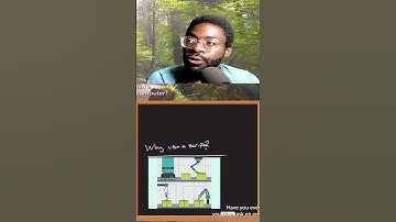 Intro to bash scripting?! #linux