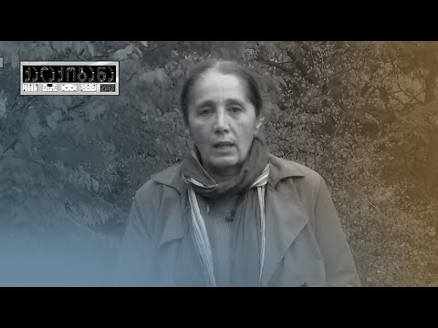 „ეს არის ბიძინა ივანიშვილის შუა თითი ქალაქზე,\" - ნატა ფერაძე პანორამა თბილისზე