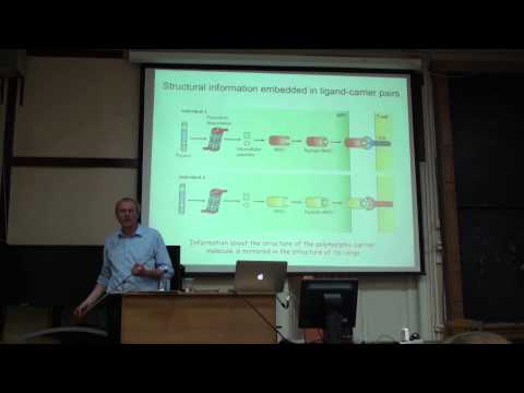 8. The immune system of jawed vertebrates: III. Mammals | Thomas Boehm | Лекториум