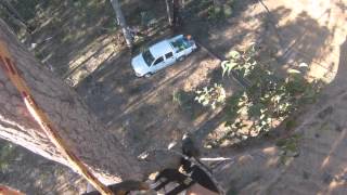 tree climb arborist abseil action man stuck go pro part 2