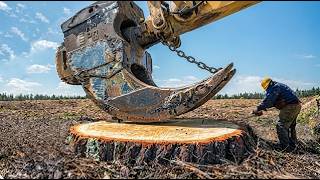Dangerous Tree Felling, Chainsaw Close Calls &amp; Powerful Forestry Machines | Timber Technology