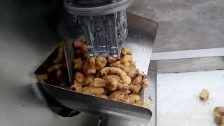 Large Ginger Cleaning Spiral Brush