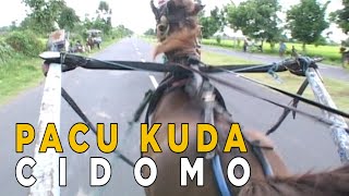 Serunya melihat tradisi pacu kuda cidomo di Lombok | JELANG SIANG