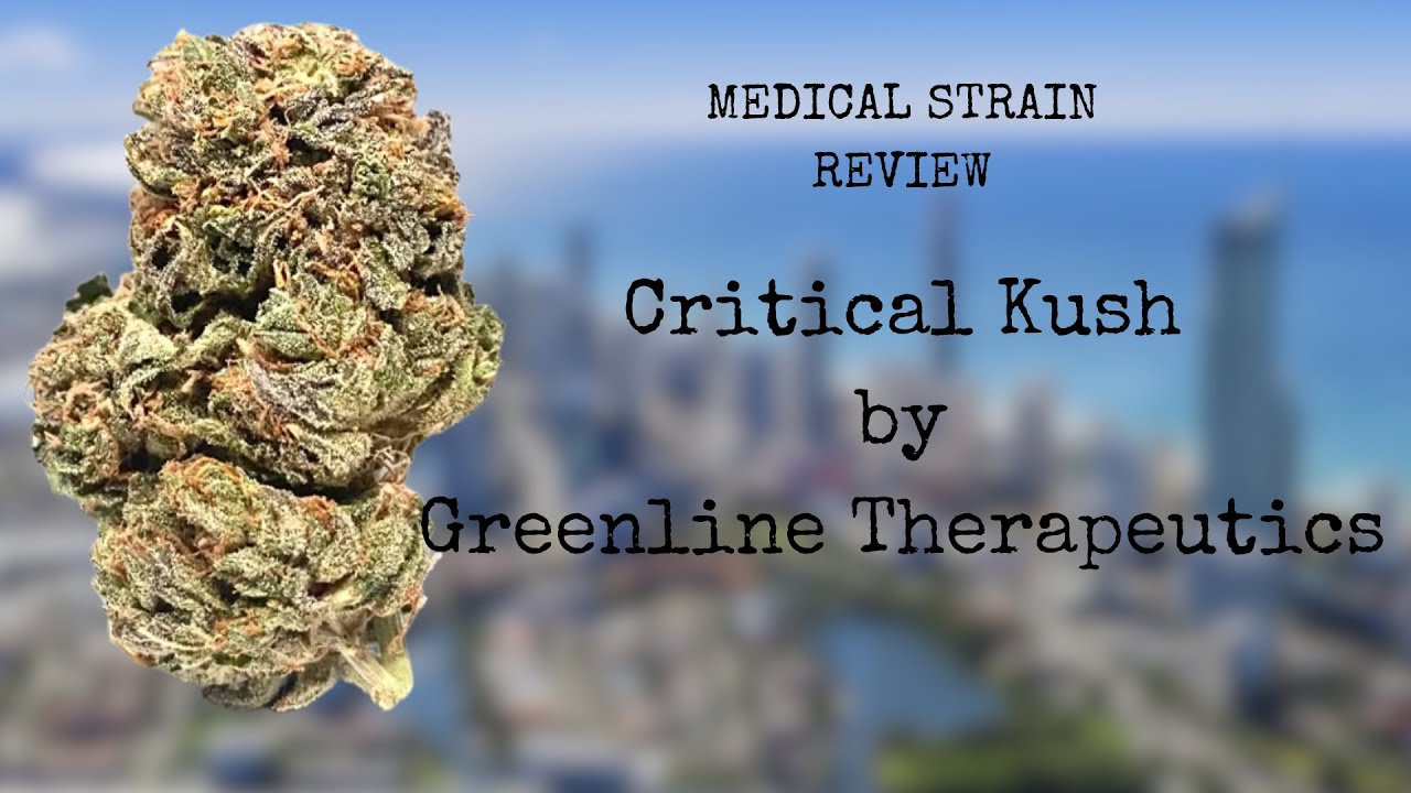 Medicinal Cannabis Review: Critical Kush