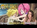 "RUN! DON'T LOOK BACK!" One Piece Episode 801, 802, 803, 804 Reaction!