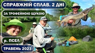 ВОТ ЭТО НАСТОЯЩИЙ СПЛАВ! Два дня по реке ПСЕЛ в мае 2023. За ТРОФЕЙНОЙ ЩУКОЙ!