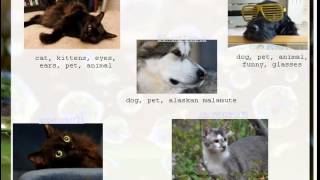 Celebrity Graphs on the Web - Class 06 - Web & Semantic Web Wealth