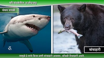 9वीं विज्ञान | अध्याय#07 | विषय#04 | पोषण आहार | मराठी माध्यम