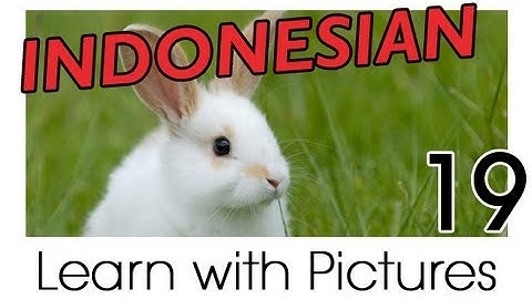 Learn Indonesian Vocabulary with Pictures - Farm Animals