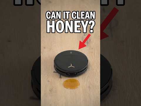 Robot vs HONEY!