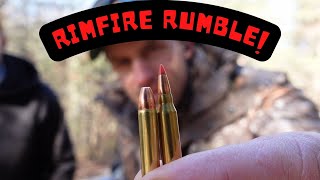 Penetration vs Power : The 17 WSM vs 22 Mag