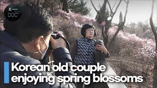 A Korean old couple taking pictures of each other | couple vlog