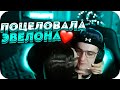 ГЕНСУХА ПОЦЕЛОВАЛА ЭВЕЛОНА ПРЯМО НА СТРИМЕ! | ПЕРВЫЙ ПОЦЕЛЙ ГЕНСУХИ И ЭВЕЛОНА | BUSTER CHILL