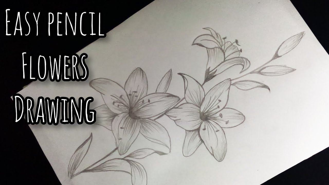 Easy and simple pencil sketch of beautiful flowers | Step by step drawing  of beautiful flowers | By Drawing Book | Like my page and click on the  follow button. And also