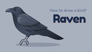 How To Draw A Bird - Raven? Easy And Simple Drawing Animal Character Design Tutorial