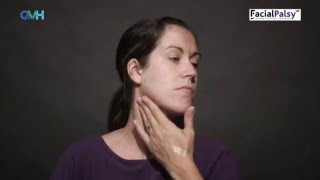 Facial Palsy DVD 1 - Management of Flaccid Paralysis - Massage