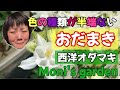 Moniの趣味チャンネル 西洋おだまきってこんな花なんです #西洋おだまき #おだまき #花 #Flower #ガーデニング #庭の花