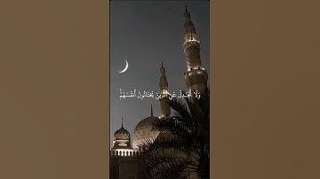 سورة النساء بصوت الشيخ ياسر الدوسري #ياسر_الدوسري #قران_كريم #قرآن