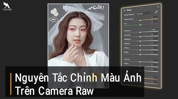 Nguyên Tắc Chỉnh Màu Ảnh Trên Camera Raw Với Hệ Màu Srgb - Buổi 1 | Tizino Academy