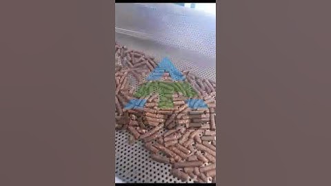 Biomass Pellets Making Machine Hazelnut Shell Pellets Making Line #pelletizing #crushingmachine