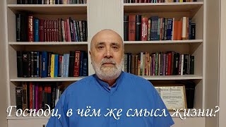 Господи, в чём же смысл жизни моей?