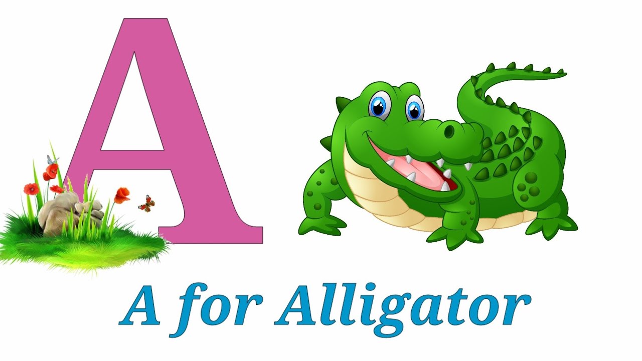 A for Alligator B for Bear . A to Z Alphabet With Examples. Learn ...