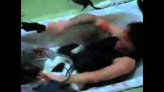 Rats (Killers Rats) (Ratas Asesinas) (Tibor Takacs, 2003) - Trailer
