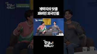 게딱지의 맛을 봐버린 외국인들 #어서와한국은처음이지 #먹방