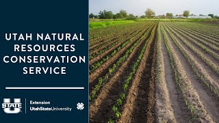 Utah Natural Resources Conservation Service by Utah State University Extension 78 views 2 months ago 32 minutes