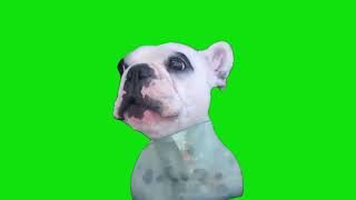 Talking Dog Meme Green Screen Chroma Key Template
Talking Dog Meme Green Screen Chroma Key Template
Prepare to be entertained and amazed by the incredible talents of this talking dog! πΎπΆ Watch as our furry friend steals the spotlight with its remarkable ability to communicate in a language we all understand. From witty remarks to heartfelt conversations, this video is sure to leave you laughing and in awe of the special bond between humans and their four-legged companions. Sit back, relax, and enjoy the captivating dialogue as this talking dog takes center stage!
All green screen templates are free to use or download.
Dont forget to like and subscribe for more!
For requests leave a request in the comments of one of the videos.
Support me and buy me a coffee: https://www.buymeacoffee.com/kermitthegreenscreen Talking Dog Meme Green Screen Chroma Key Template