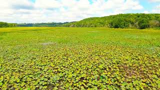 Cooley Lake Missouri