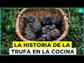 La historia del "oro negro": La trufa y su alto valor en la cocina